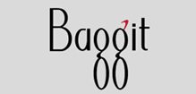 baggit_1
